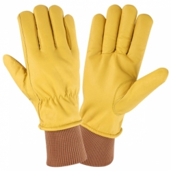 Winter Gloves